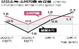 지출,증가,소득,대비,구입,전년,분기,가계