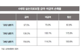 비급,항목,지적,손보험,진료,보장한도,손해율