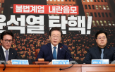 동참