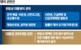 거부권,행사,권한대행,법안,정부,대통령,국회,우려,민주당