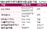 국내,상장,증시,LG,내년,계열사