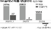 포인트,SK플래닛,오락,캐쉬백,내년