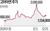 집중투표제,고려아연,도입,의결권,영풍