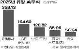 기업,미국,내년,주가,브로드컴