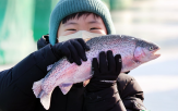 송어,겨울,축제,특별