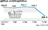 참사,기업,행사,탄핵,소비,정부,민간,무안,대비