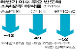 반도체,주가,내년,가격,소부장주