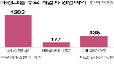 제주항공,애경그룹,사업,화학,그룹,다른