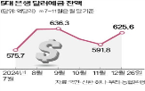 환율,달러,달러예금,잔액