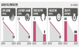 올해,정부,편성,전망,추경,작년,전망치,지난해,경기,불확실성