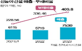 신동아건설,신청,법정관리,경기,분양,비율,부채