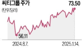 씨티그룹,실적,뱅코프,미국,수익