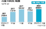 매물,아파트,대출,서울,증가