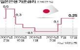 인상,금리,일본은행,미국,캐리,기준금리,청산,지난해,결정,트럼프