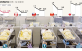 결혼,반등,지난해,출산율,출산,아이,합계출산율,부부,대책,정책
