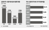 신종자본증권,발행,금융지주,금융,자본,올해,규모