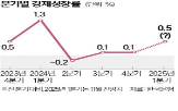 성장률,0.1,0.5,포인트,전망,수준,0.2,영향,작년