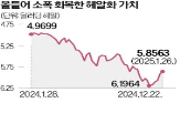 브라질,금리,헤알화,국채,가치,인상,투자자