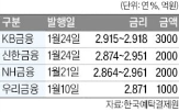 회사채,금융지주,영구채,발행