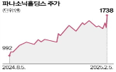 사업,일본,파나소닉,파나소닉홀딩스,기업,패널,철수