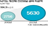 콜린,제제,기능,개선