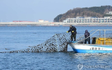 작년,가격,생산량,산지,전남