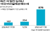 브라질,금리,국채,헤알화,인상,환율