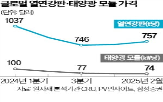 중국,철강,기업,태양광,현지,제품,지난해,시장