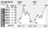 실적,매출,주가,시장,이후,전년,엔비디아,분기