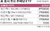 분배금,주배,매주,미국,커버드콜