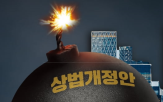 기업,주주,한국,이사,델라웨어주,상법,규제,회사법,소송,개정안