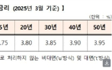 금리,보금자리