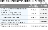 국내,레버리지,해외,테슬라