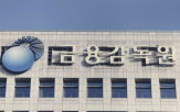 금감원,회계사,전문가