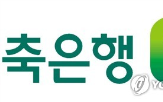 저축은행중앙회,선출