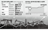 중국,반도체,정부,급등,내수,기대,정책,가전,대비,전년