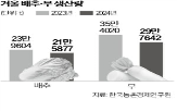 배추,가격,전년,대비,생산량