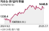 달러,원화,국내,금리,투자,김치본드,조달