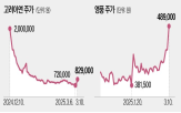 영풍,고려아연,연합,회장,주주총회,이후