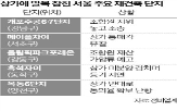 상가,조합원,갈등,조합,재건축,소송,단지,아파트,추진