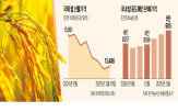 가격,쌀값,국제,시장,국내,일본