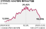 미국,기술주,하락,수익률,지난해,국내