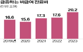 비급,관리급여,손보험,항목,정부,방안