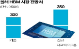 마이크론,시장,반도체,올해,실적,매출