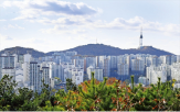 매물,지역,집값,토지거래허가구역,분위기,성동구,부동산,일단,공인,중개