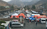 산불,피해,복구