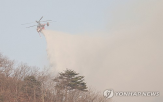 지원,1억,산불