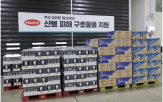 지역,피해