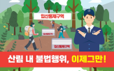 산림,단속,행위,산림청