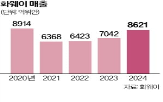 화웨이,매출,미국,중국,지난해,시장,대비,전년